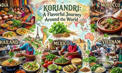 Koriandri: A Flavorful Journey Around the World