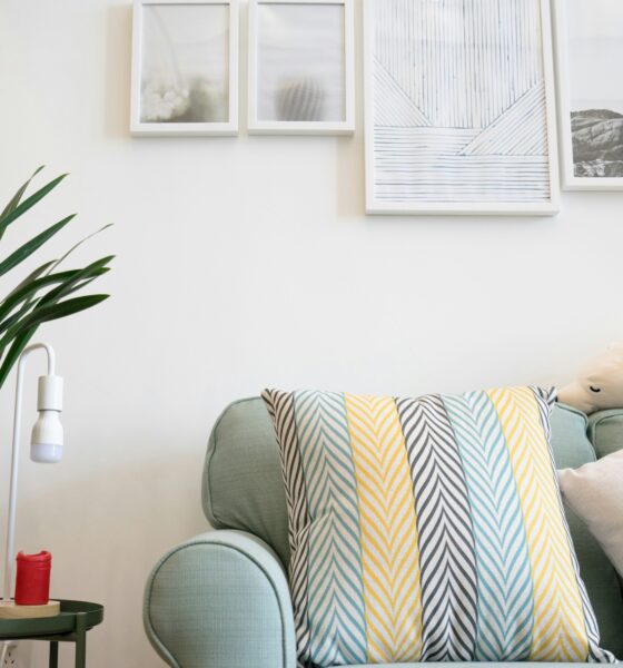Wollmatten: The Eco Friendly Choice for Your Home Décor